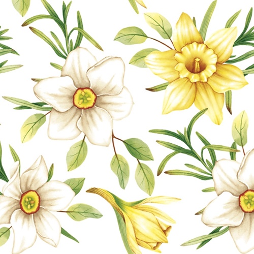 Watercolour Daffodils