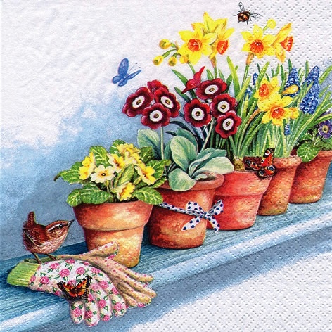 Windowsill with Flower Pots