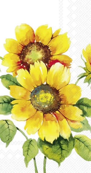 Colourful Sunflowers - Buffet napkins