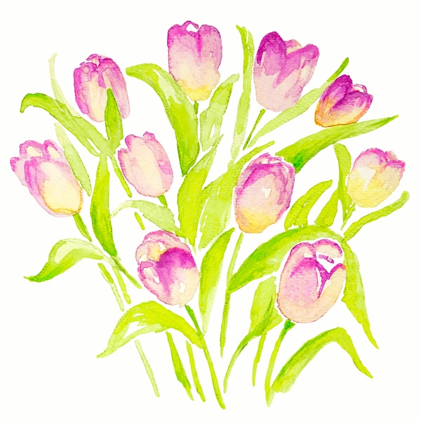 Tulip Bouquet