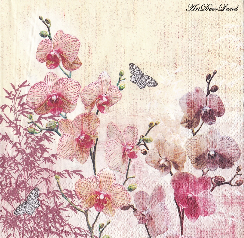 Orchid Orient