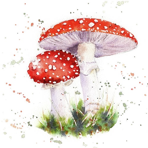 Painted Fly Agaric