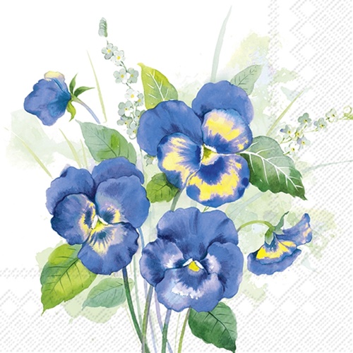 Pansies Bouquet blue