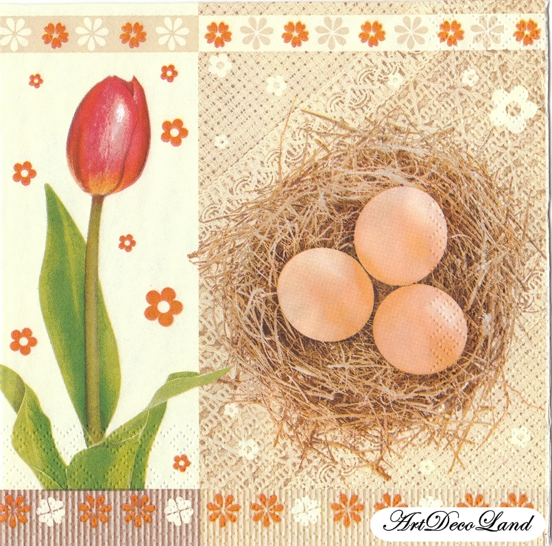 Tulip and Egg Nest