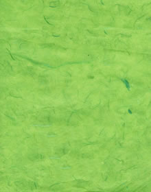 Hartie Mulberry - light green