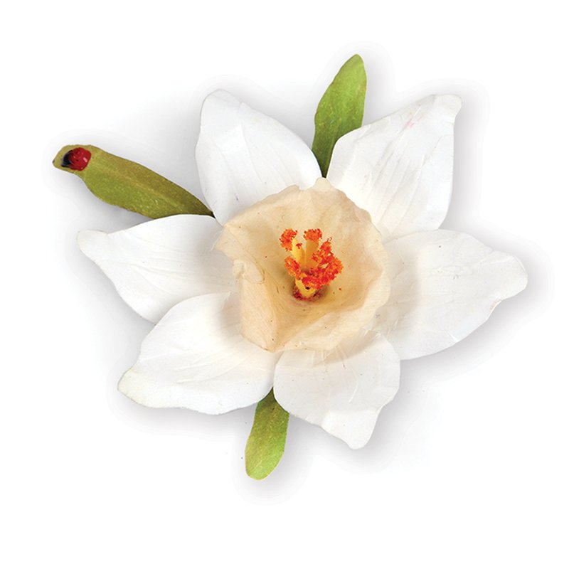 Cutter Thinlits - Flower, Narcissus