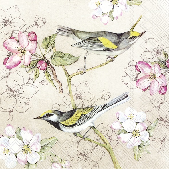 Birds Symphony
