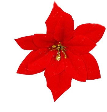Floare decorativa - Craciunita