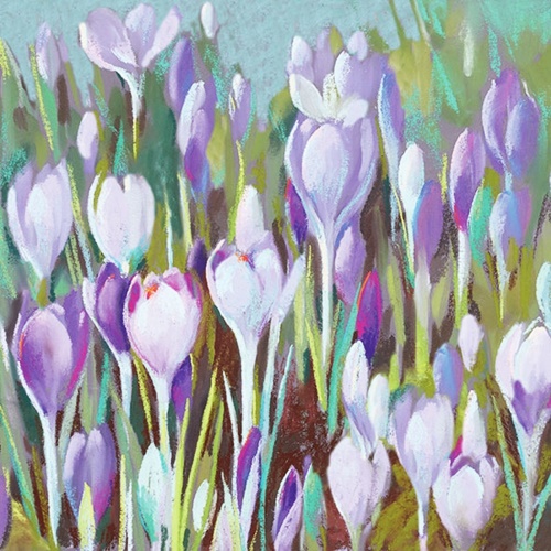 Crocus