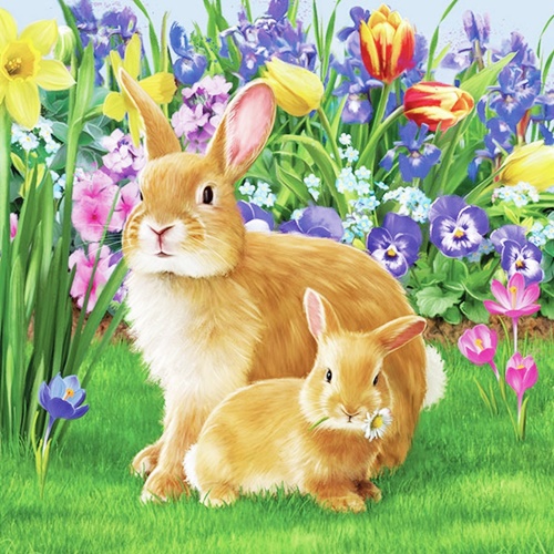 Mother Bunny