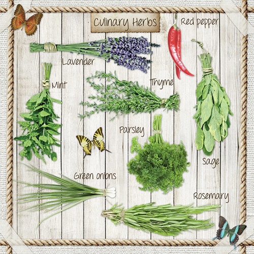 Kitchen Herbs