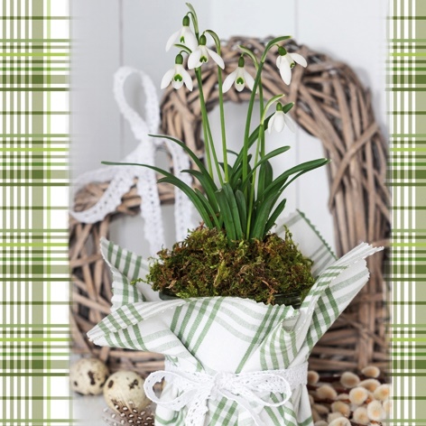 Snowdrop & Willow Heart