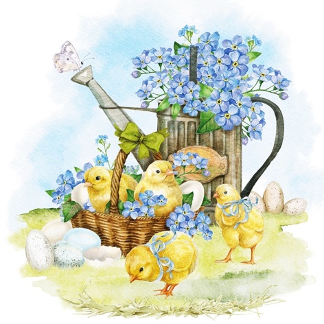 Forget-Me-Not & Chicks