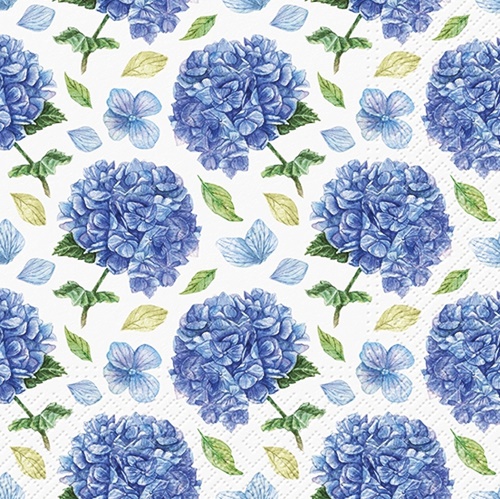 Rhythmic Hydrangea