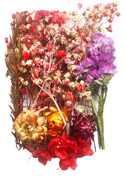 Flori si frunze naturale cu Floarea Miresei - Red