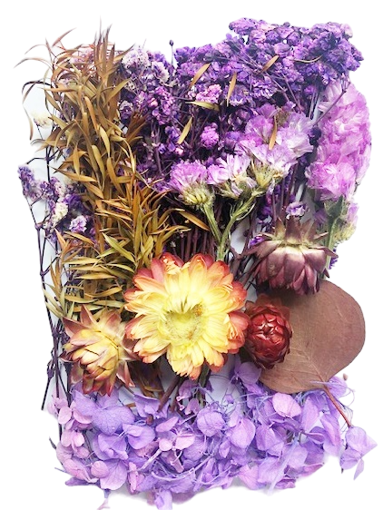 Flori si frunze naturale cu Floarea Miresei - Purple