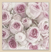 Lovely Pink Roses