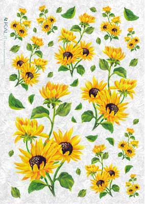 Sunflowers A4