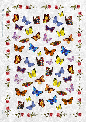 Butterflies A4