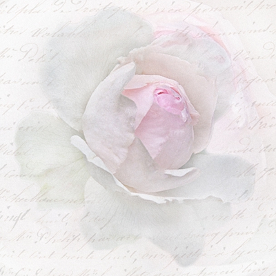 Vintage Pink Rose Letter