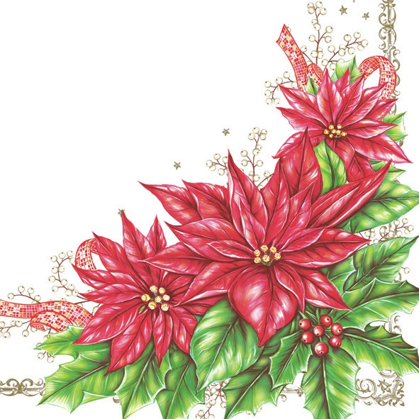 Elegant Poinsettia