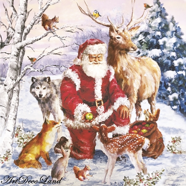 Santa & Animals