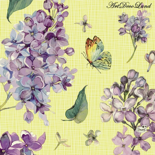 Sweet Butterfly Lime