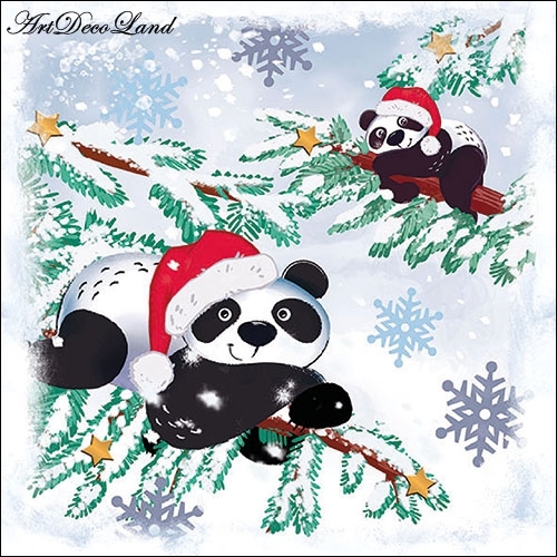 Pandas in Snow