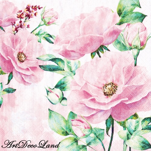 Pink Rose Garden -SET 4 buc