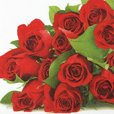 Bunch of Roses - SET 4 buc