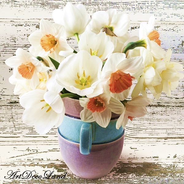 Cup Full of White Daffodils