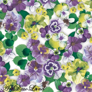 Pansy All Over Purple